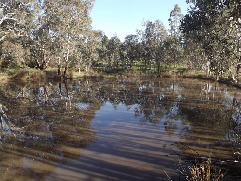 150 Burges Lane, Broadford VIC 3658