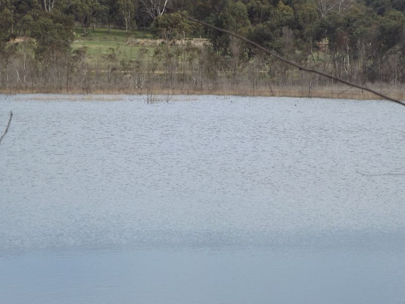 Lot 43 Rosie Drive, Broadford VIC 3658