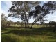 929 Dry Creek Road, Broadford VIC 3658