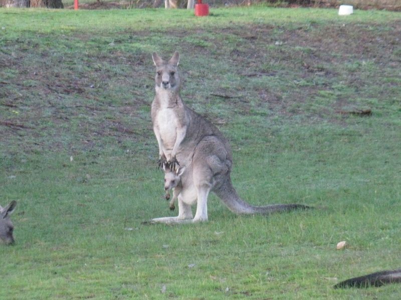 32 Davidson Street, Broadford VIC 3658