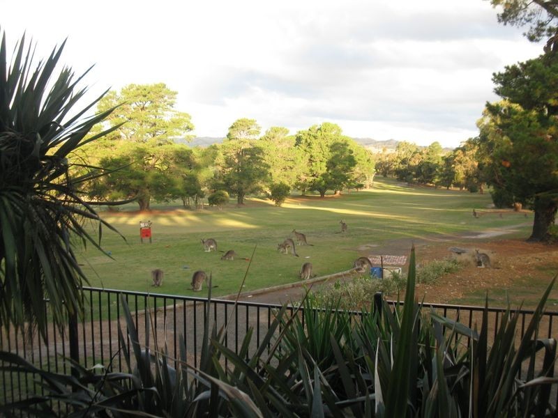 32 Davidson Street, Broadford VIC 3658