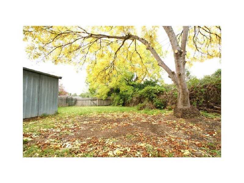 17 Phillips Place, Latham ACT 2615