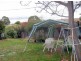 23 Bannerman Place, Holt ACT 2615