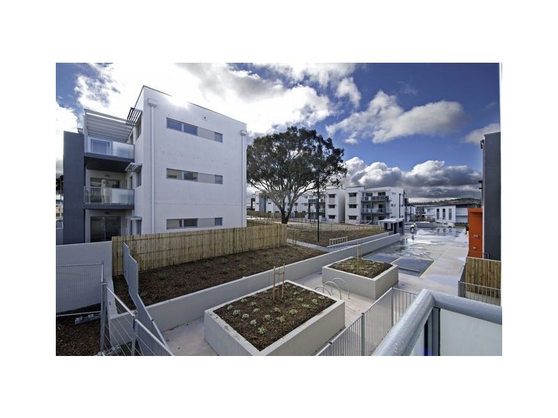 50/75 Elizabeth Jolley Crescent, Franklin ACT 2913