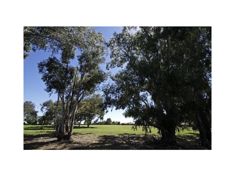 13 Kilburn Close, Dunlop ACT 2615