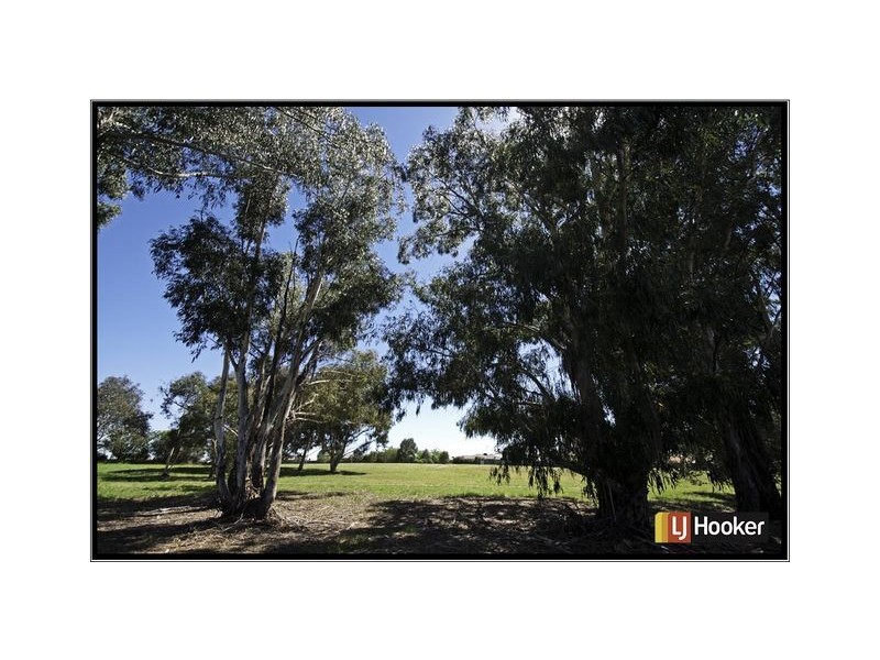 13 Kilburn Close, Dunlop ACT 2615