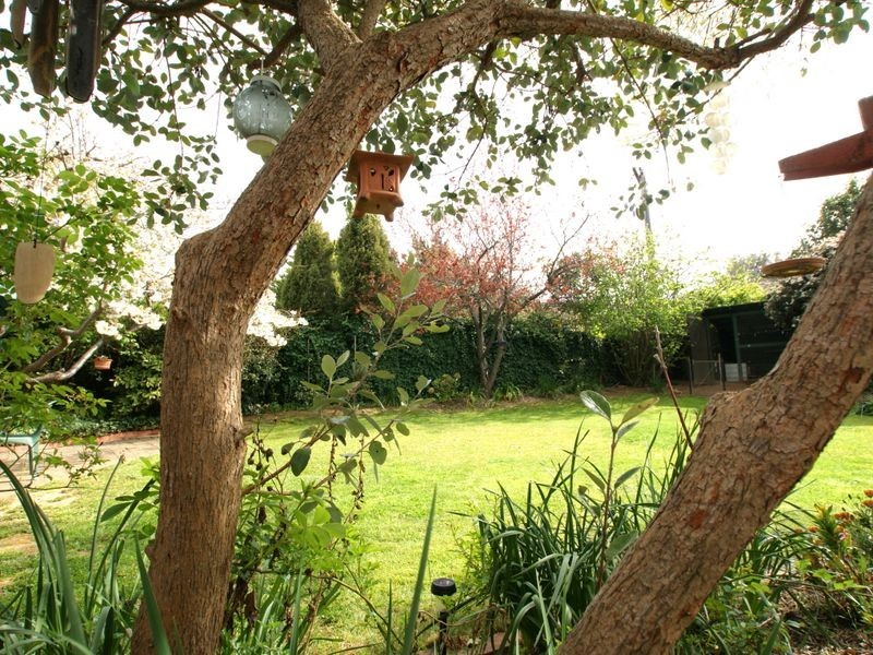 3 Maund Place, Macgregor ACT 2615