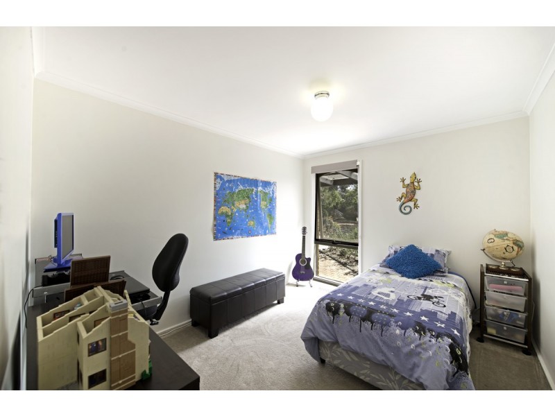 48 Carrodus Street, Fraser ACT 2615