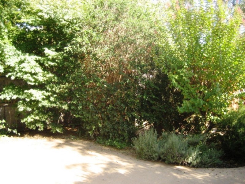 9/10 Federal Highway, Watson ACT 2602