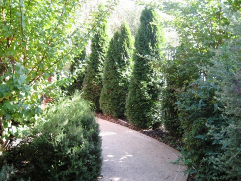 9/10 Federal Highway, Watson ACT 2602