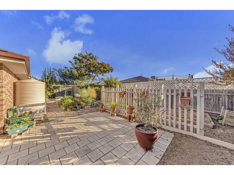 35 Shoobridge Circuit, Dunlop ACT 2615