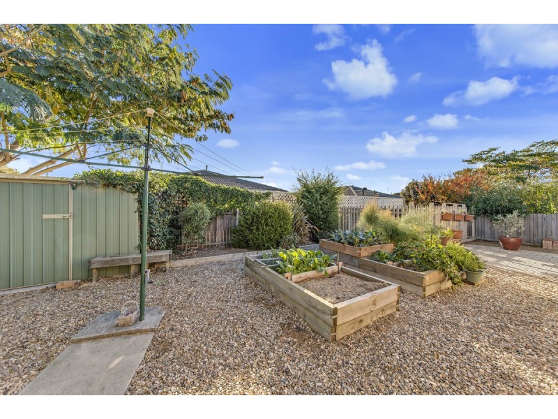 35 Shoobridge Circuit, Dunlop ACT 2615