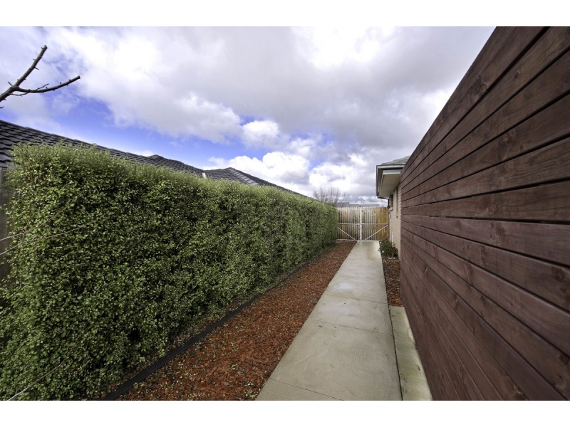 43 Rowland Street, Macgregor ACT 2615