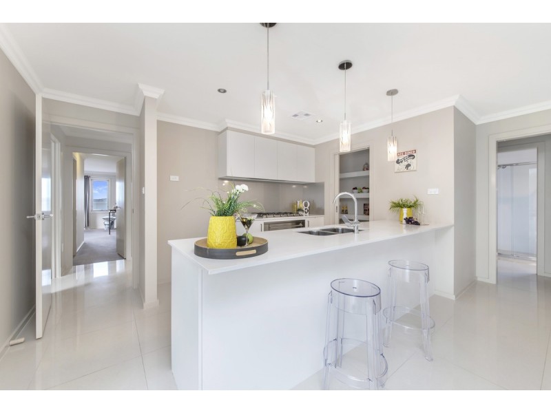 17 Beanland Street, Casey ACT 2913