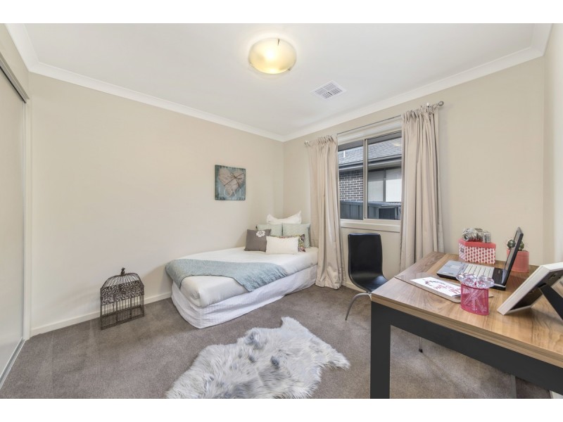 17 Beanland Street, Casey ACT 2913