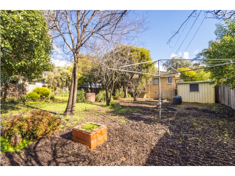 8 Bundey Street, Higgins ACT 2615