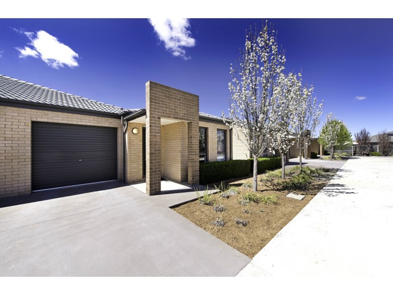 6/204 Macfarlane Burnet Avenue, Macgregor ACT 2615