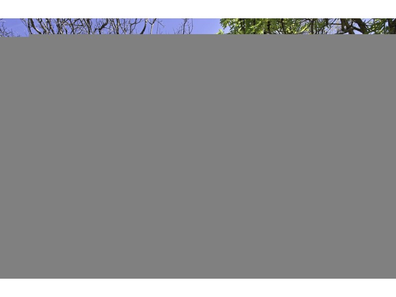 5 Northmore Crescent, Higgins ACT 2615