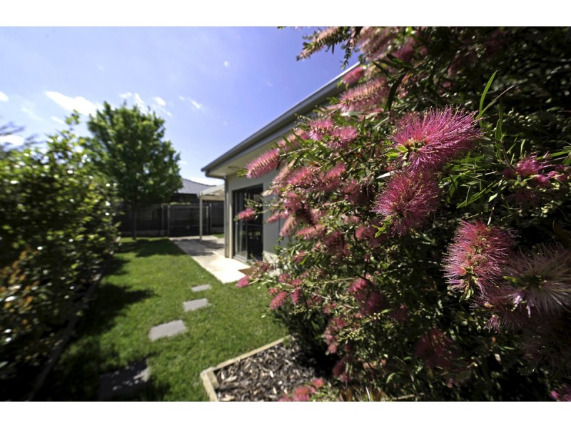 48 Eccles Circuit, Macgregor ACT 2615