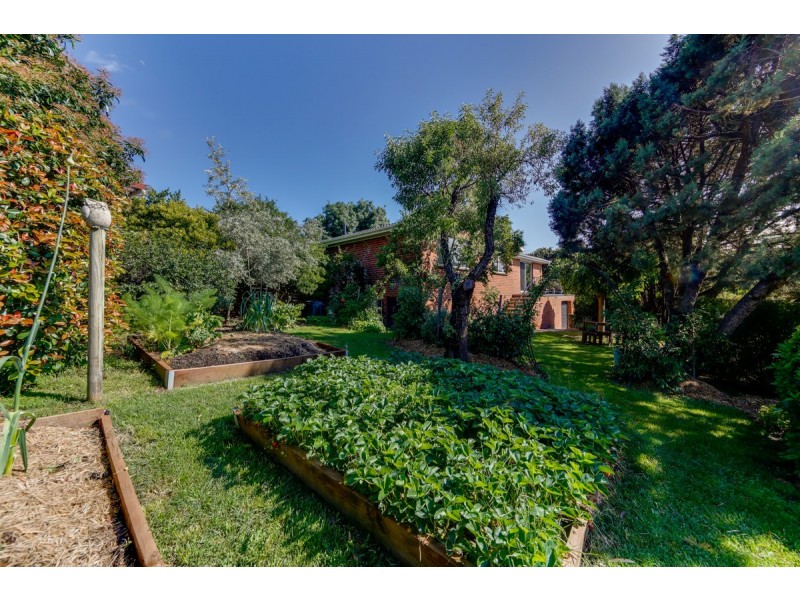 10 Cumpston Place, Macgregor ACT 2615