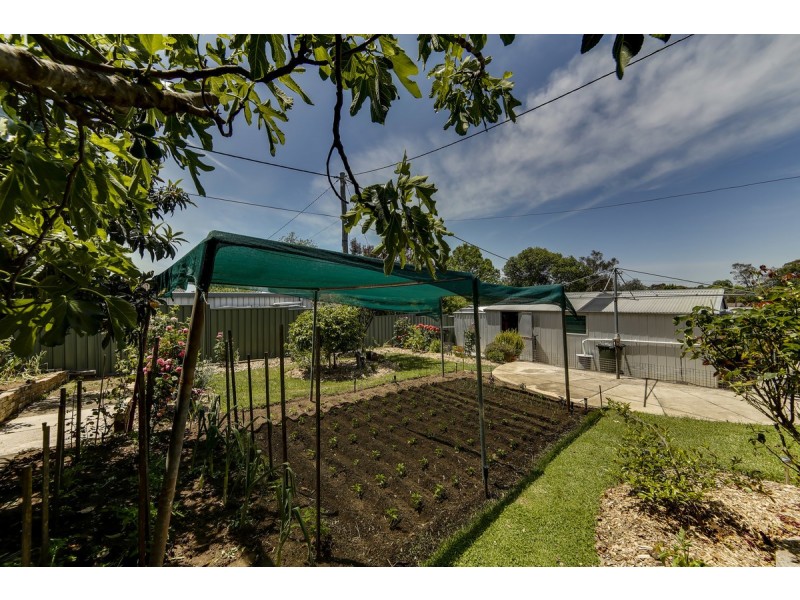 96 Petterd Street, Page ACT 2614