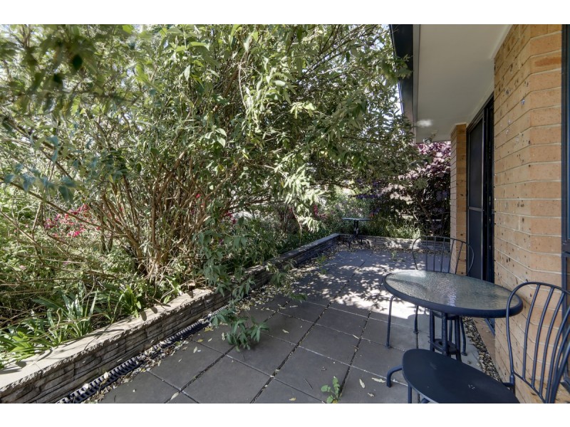 6 Sax Place, Macgregor ACT 2615