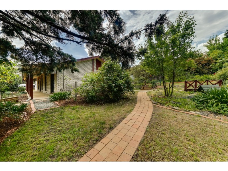 18 Macintyre Street, Charnwood ACT 2615