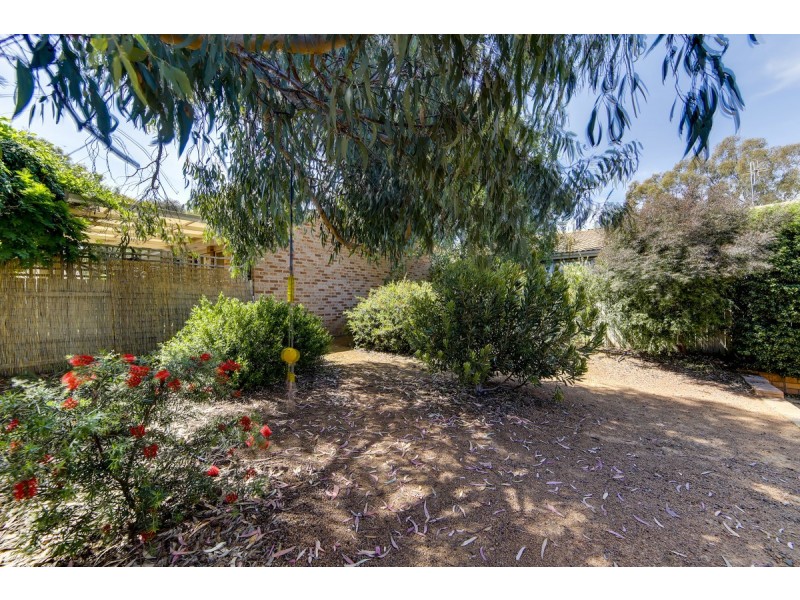 29/24 Beazley Crescent, Calwell ACT 2905