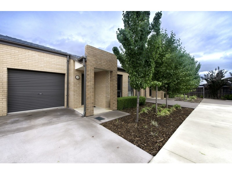 8/204 Macfarlane Burnet Avenue, Macgregor ACT 2615