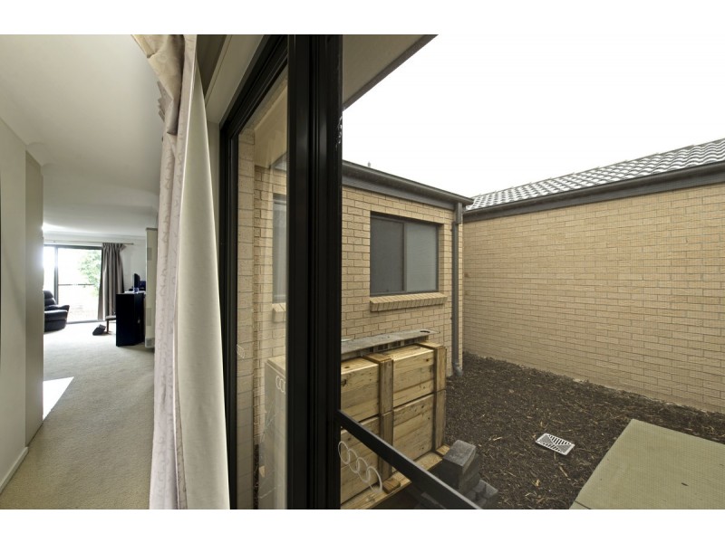8/204 Macfarlane Burnet Avenue, Macgregor ACT 2615
