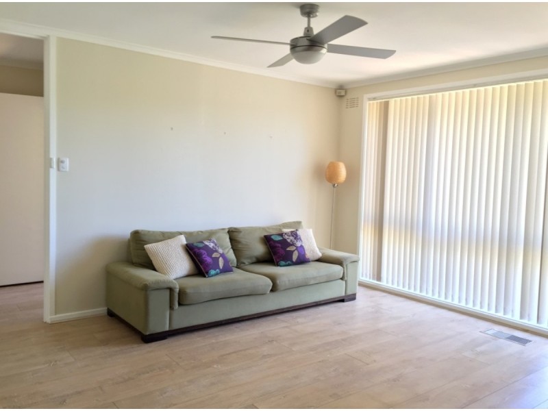3 Dallachy Street, Page ACT 2614