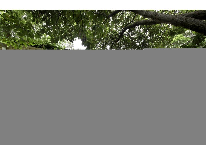 10 Stumm Place, Latham ACT 2615