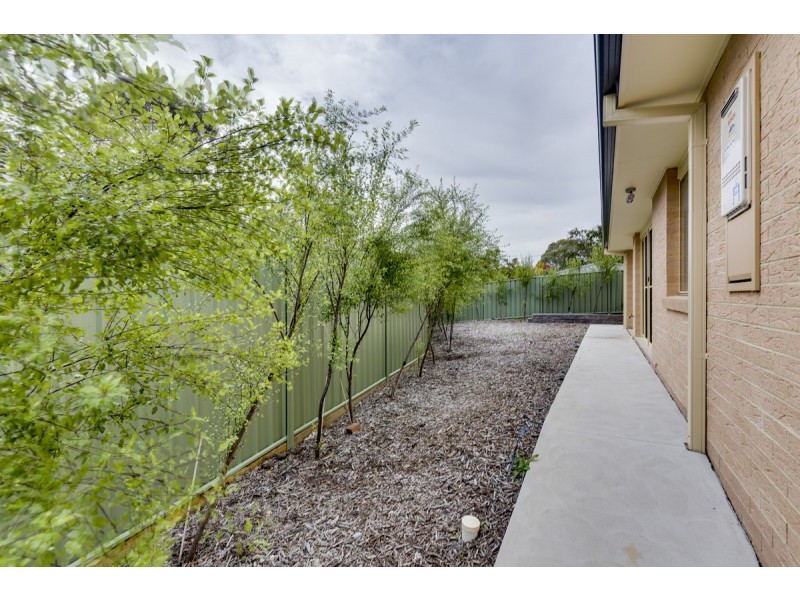 2/41 Nott Street, Fraser ACT 2615