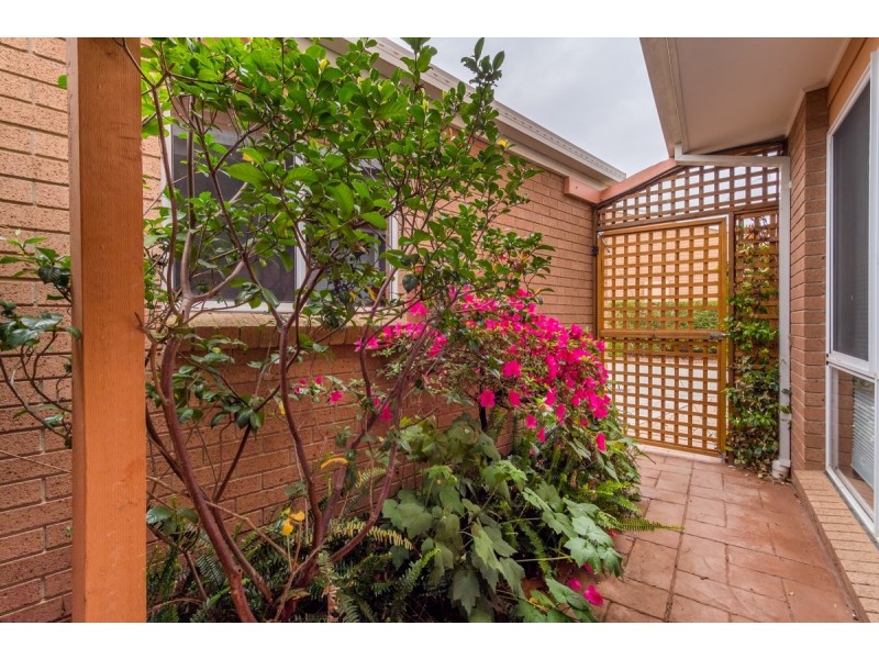 4/3 Marungul Avenue, Ngunnawal ACT 2913