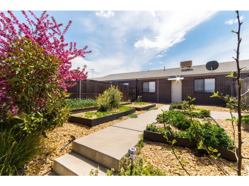 7 Driftwood Lane, Harrison ACT 2914