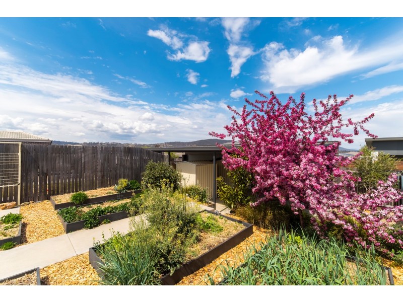 7 Driftwood Lane, Harrison ACT 2914