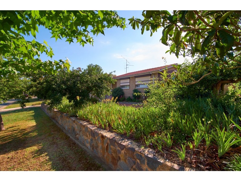 4 Dethridge Street, Higgins ACT 2615