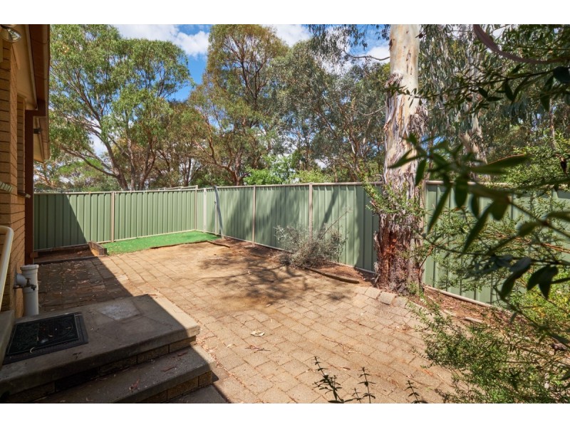 7 BOX Place, Latham ACT 2615