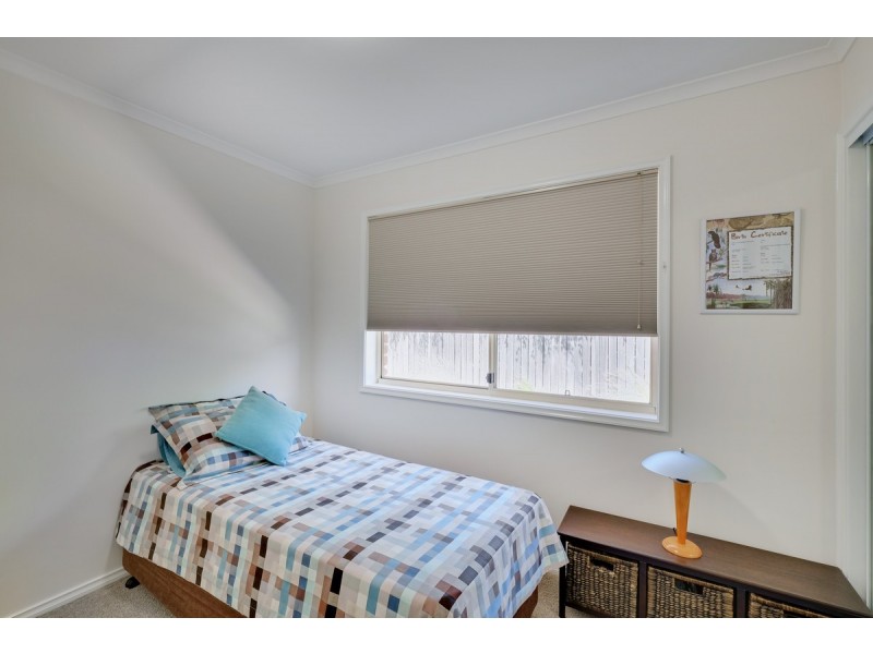 16 Cottam Place, Nicholls ACT 2913