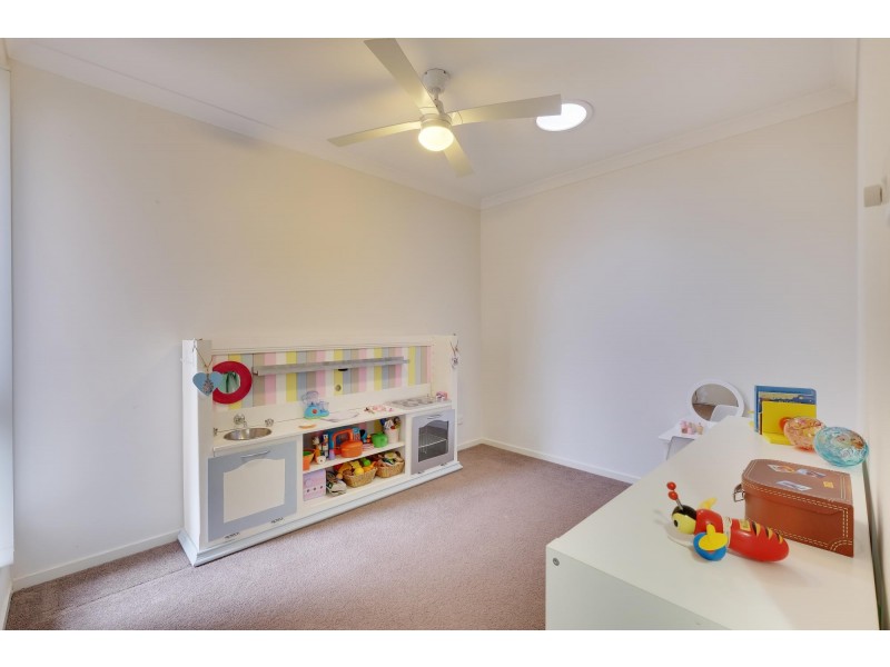 166 Macfarlane Burnet Avenue, Macgregor ACT 2615