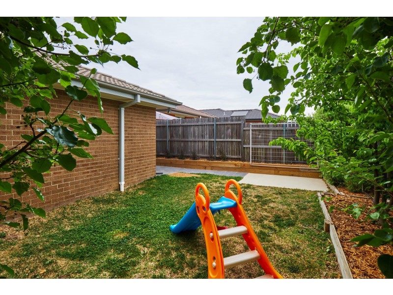 166 Macfarlane Burnet Avenue, Macgregor ACT 2615