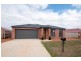 55 Macfarlane Burnet Avenue, Macgregor ACT 2615