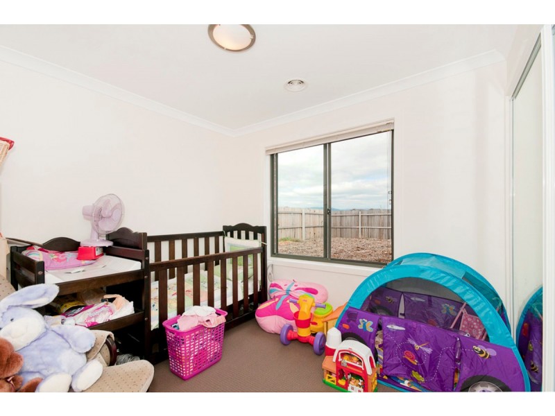 55 Macfarlane Burnet Avenue, Macgregor ACT 2615