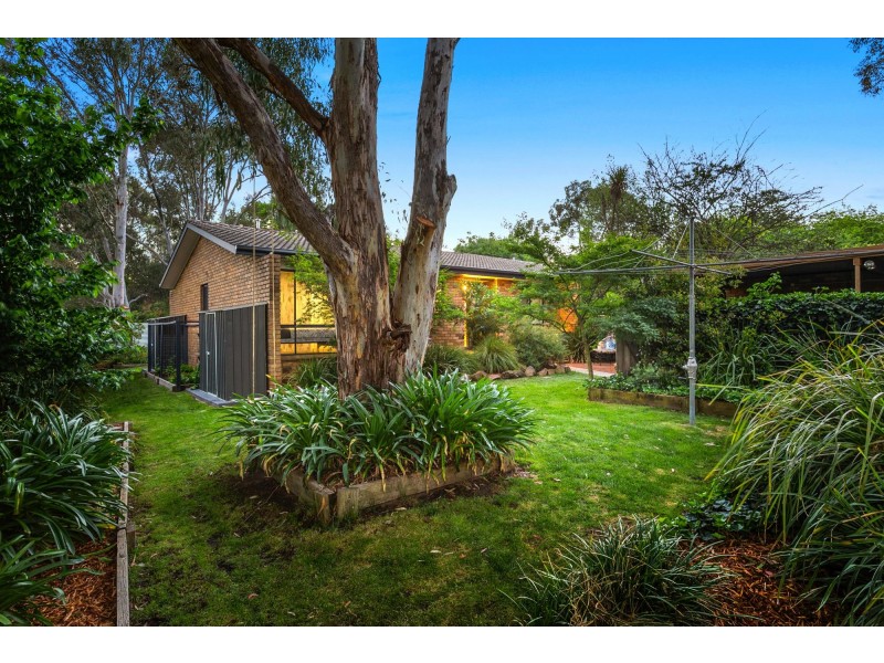 72 Redfern Street, Cook ACT 2614