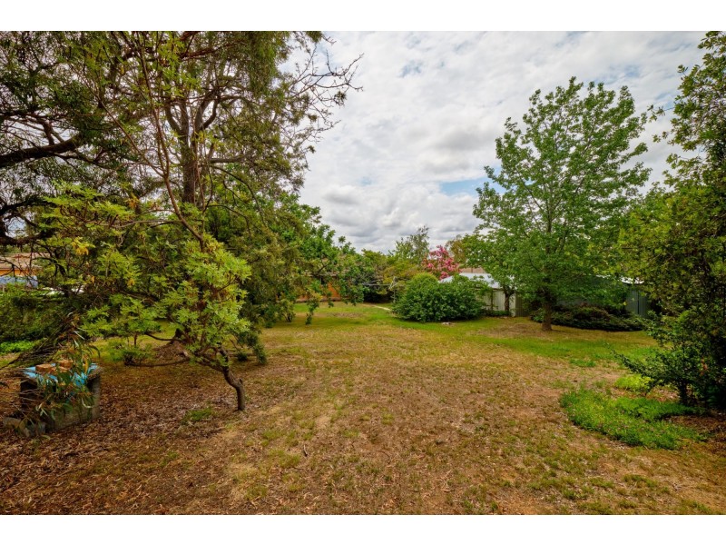 43 O’Sullivan Street, Higgins ACT 2615