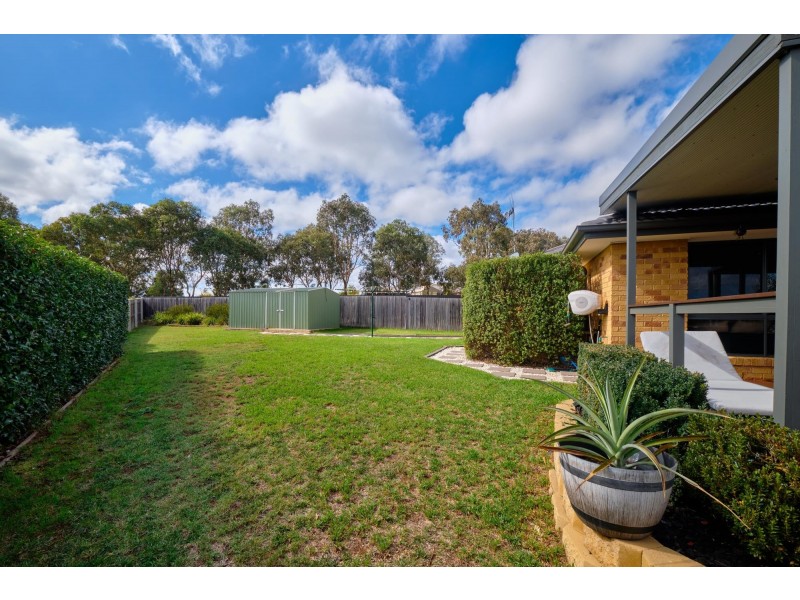 7 Sax Place, Macgregor ACT 2615