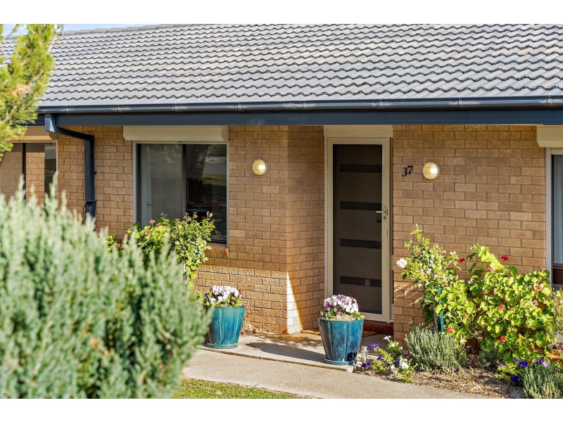 37 Clubbe Crescent, Macgregor ACT 2615