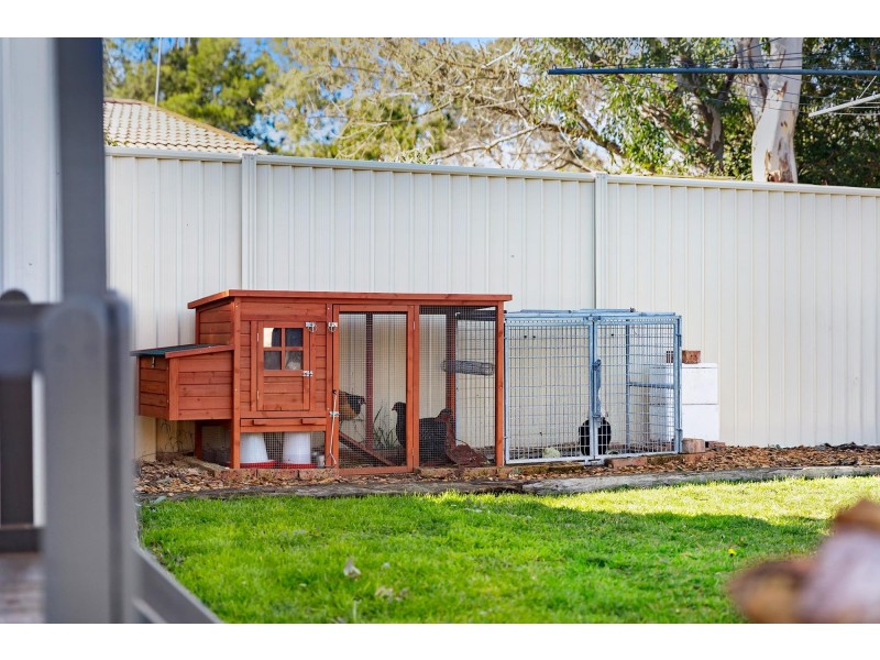 11 McCarthy Place, Charnwood ACT 2615