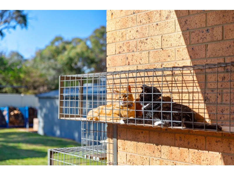 11 McCarthy Place, Charnwood ACT 2615