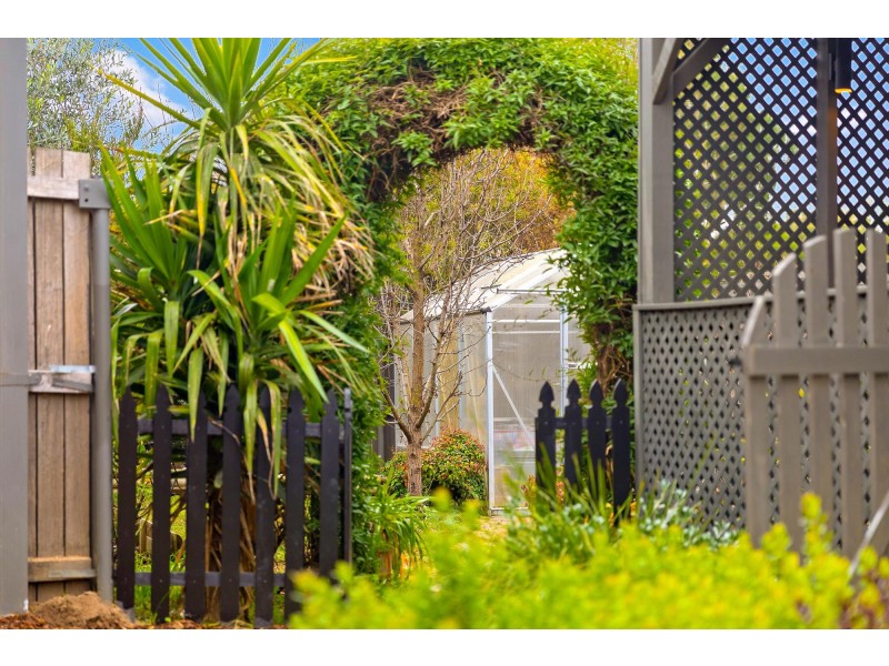 14 Jean Macnamara Street, Macgregor ACT 2615